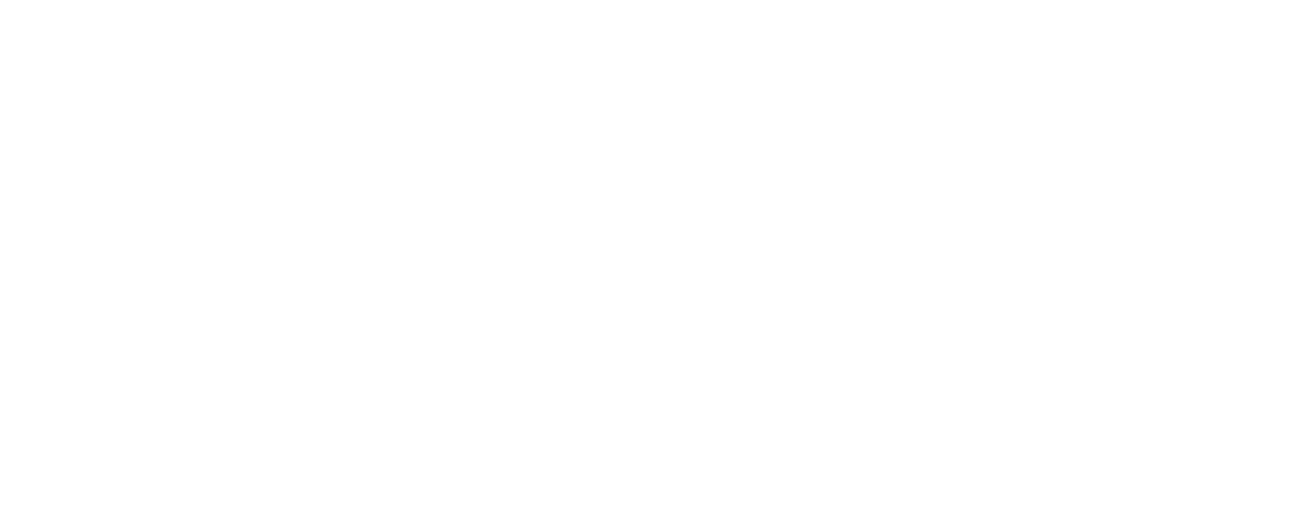 Logo Pace